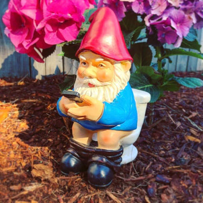 Funny Garden Gnome