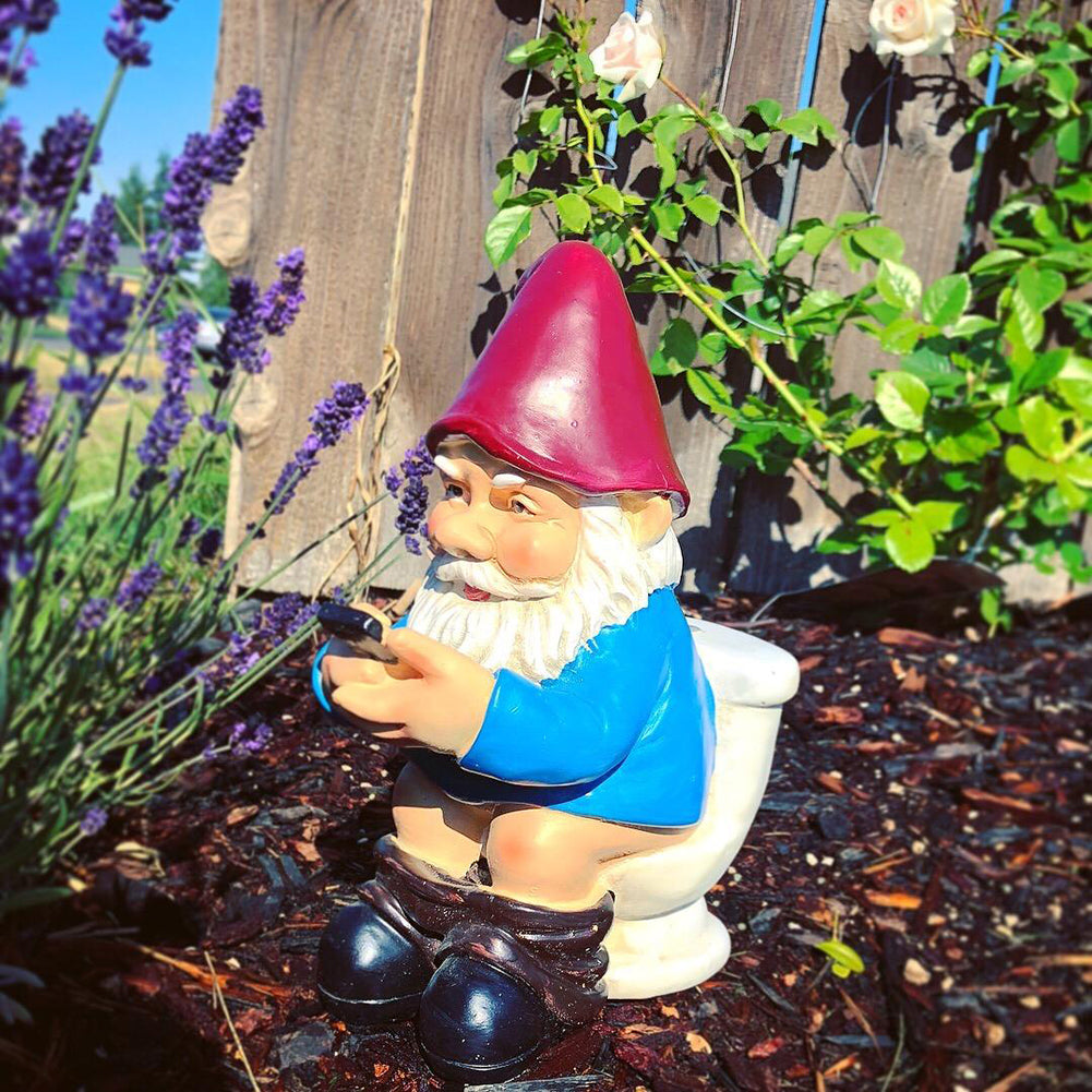 Funny Garden Gnome